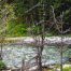 Gallatin River, Montana