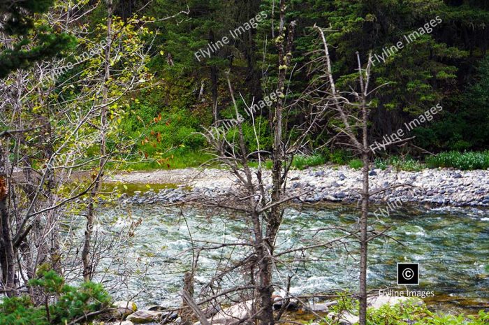 Gallatin River, Montana