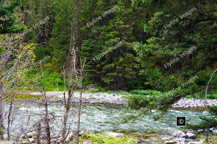 Gallatin River, Big Sky Montana