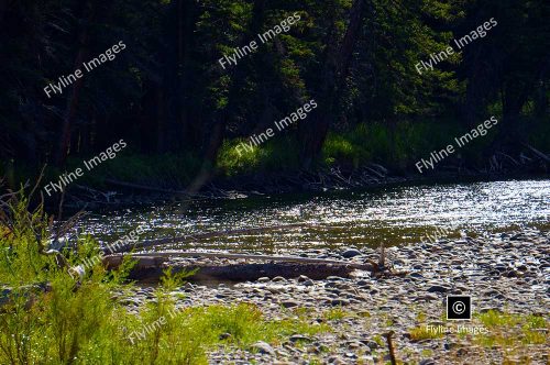 Gallatin River, Montana