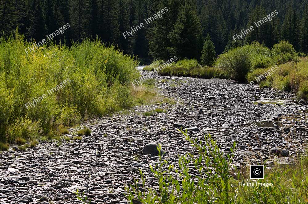 Gallatin River Water Shed