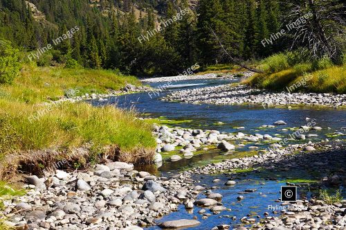 Gallatin River, Montana