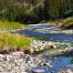 Gallatin River, Montana