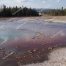 Geyser Basin, Yellowstone National Park