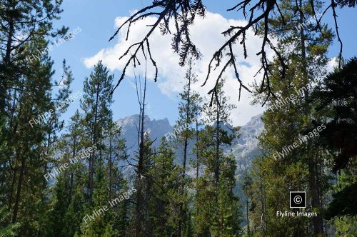 Grand Tetons