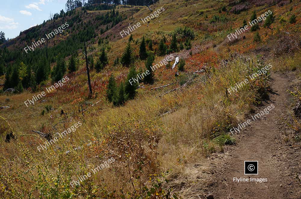 Hellroaring Trail, Yellowstone National Park, Trail Hikes In Yellowstone