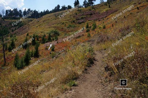 Hellroaring Trail, Yellowstone National Park, Trail Hikes In Yellowstone