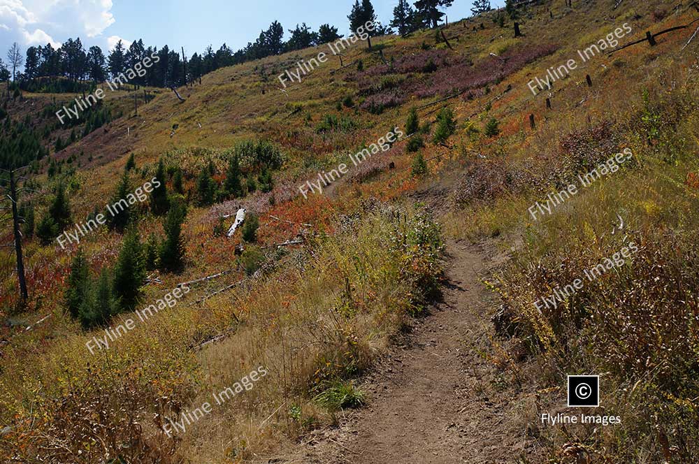 Hellroaring Trail, Yellowstone National Park, Trail Hikes In Yellowstone