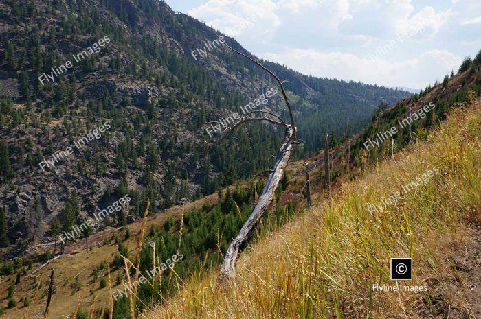 Hellroaring Trail, Yellowstone National Park, Trail Hikes In Yellowstone