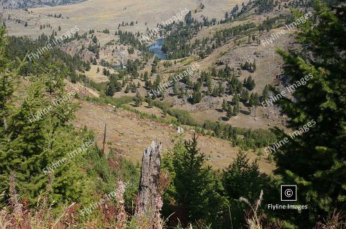 Hellroaring Trail, Yellowstone National Park, Trail Hikes In Yellowstone