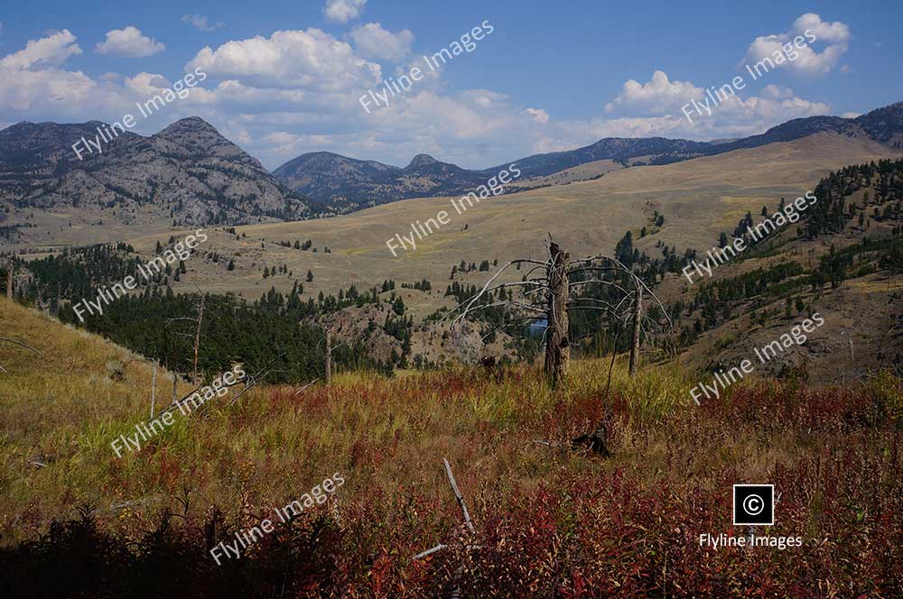 Hellroaring Trail, Yellowstone National Park, Trail Hikes In Yellowstone