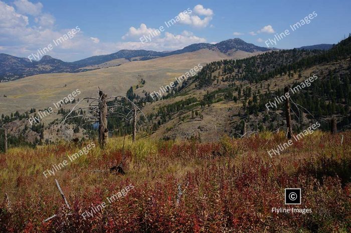 Hellroaring Trail, Yellowstone National Park, Trail Hikes In Yellowstone