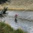 Madison River, Yellowstone, Mark Lein, Fly Fishing