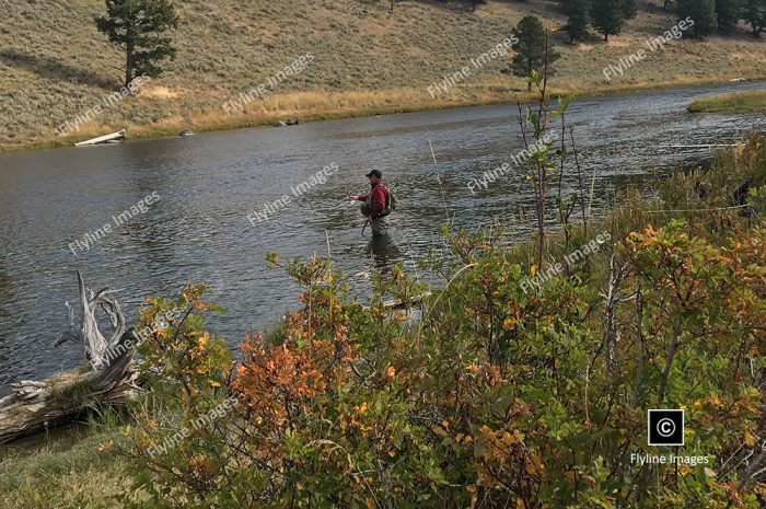 Madison River, Mark Lein, Fly Fishing, Yellowstone