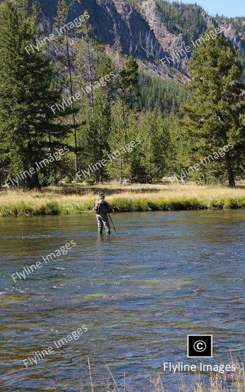 Madison River, Yellowstone National Park