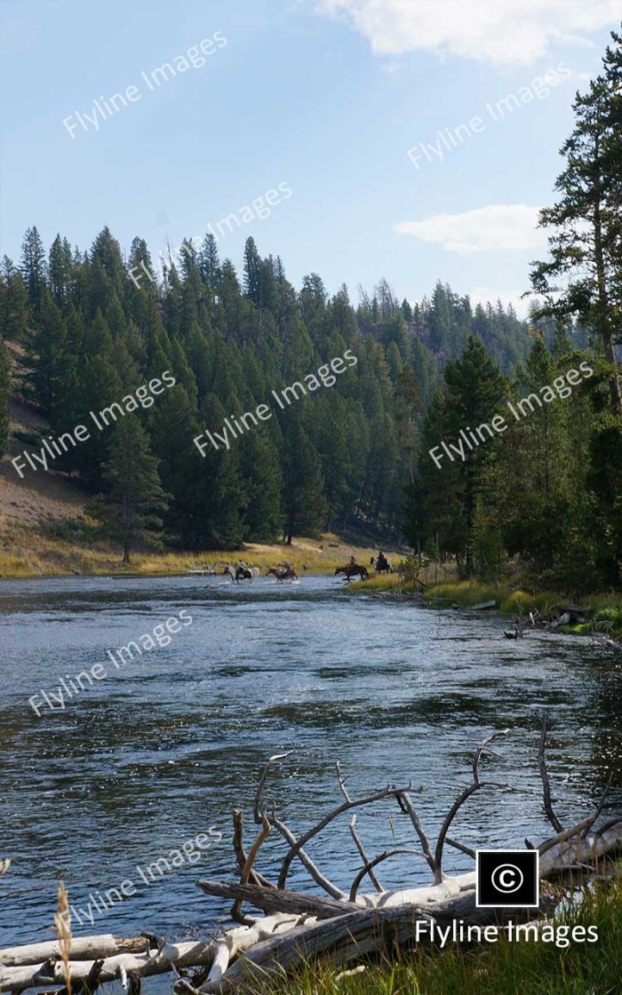 Madison River, Fly Fishing