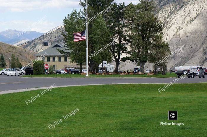 Mammoth Hot Springs, Yellowstone National Park