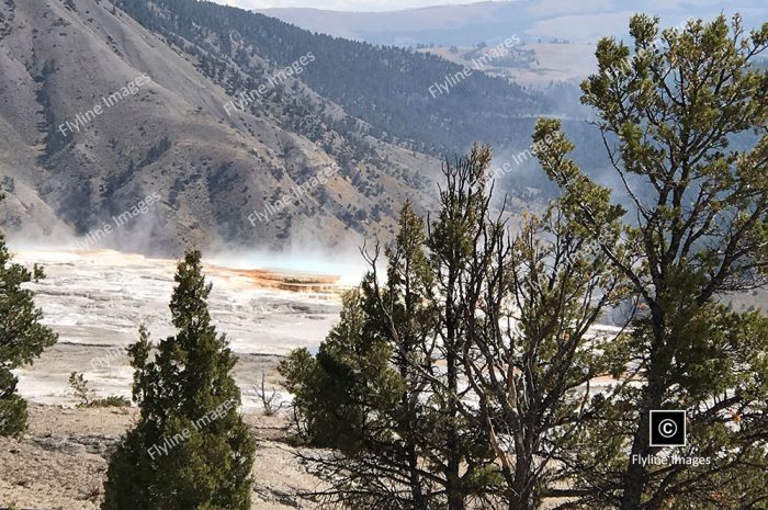 Mammoth Hot Springs, Yellowstone National Park