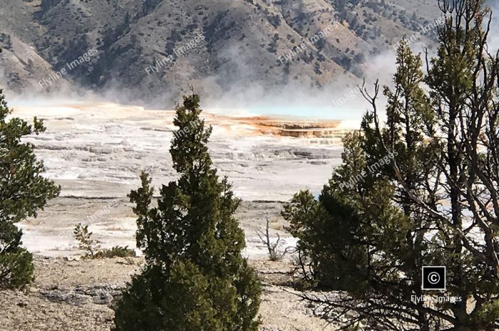 Mammoth Hot Springs, Yellowstone National Park