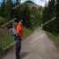 Mount Washburn Trail, Yellowstone National Park