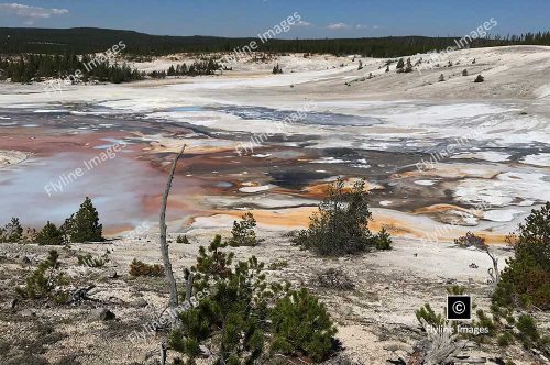 Norris Geyser Basin, Yellowstone National Park