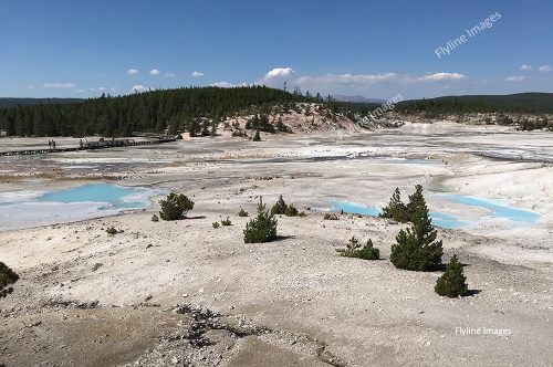 Norris Geyser Basin, Yellowstone National Park, Geothermal Features of Yellowstone