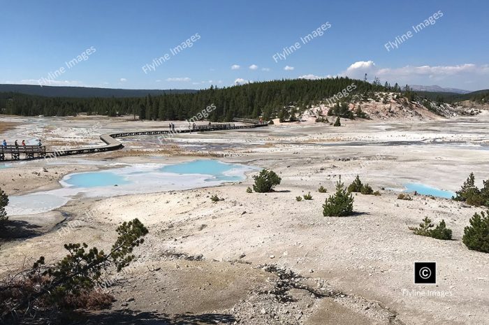 Norris Geyser Basin, Yellowstone National Park, Geothermal Features of Yellowstone