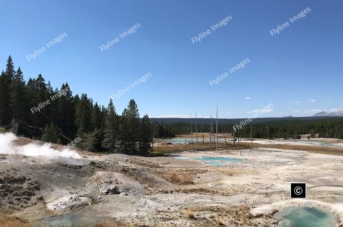 Norris Geyser Basin, Yellowstone National Park, Geothermal Features of Yellowstone