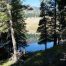 Trout Lake, Yellowstone National Park