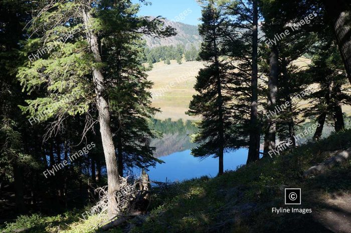 Trout Lake, Yellowstone National Park