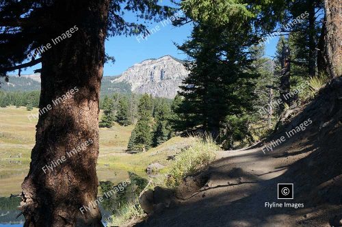 Trout Lake, Yellowstone National Park