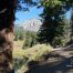 Trout Lake, Yellowstone National Park