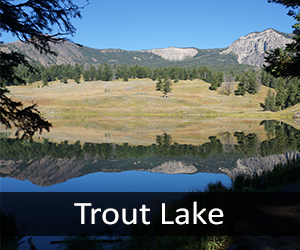 Trout Lake