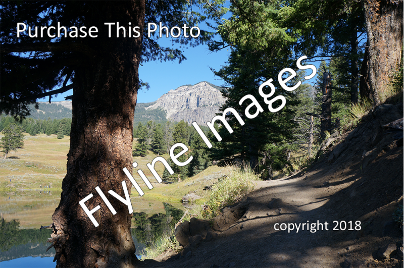 Trout Lake Trail 3 Flyline Images