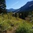 Trout Lake, Yellowstone National Park