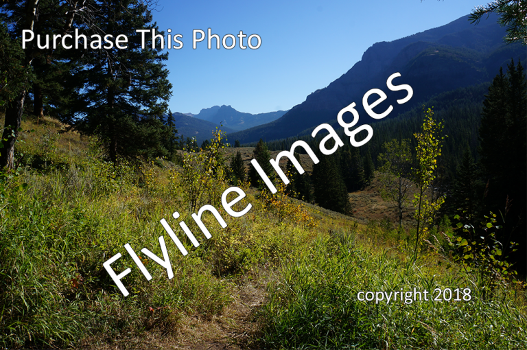 Trout Lake Trail Flyline Images