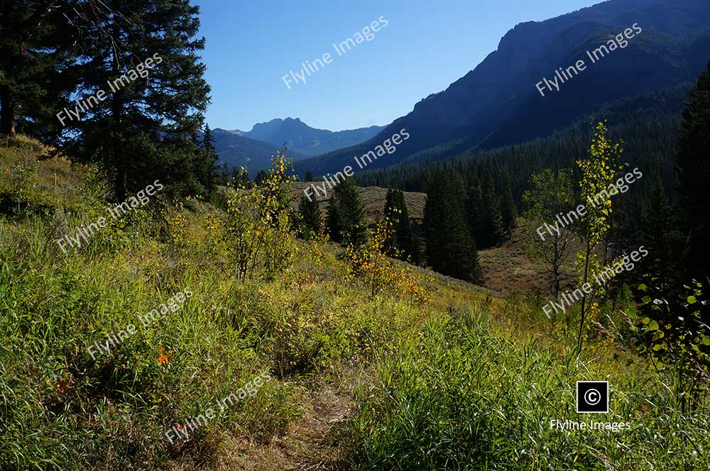 Trout Lake, Yellowstone National Park