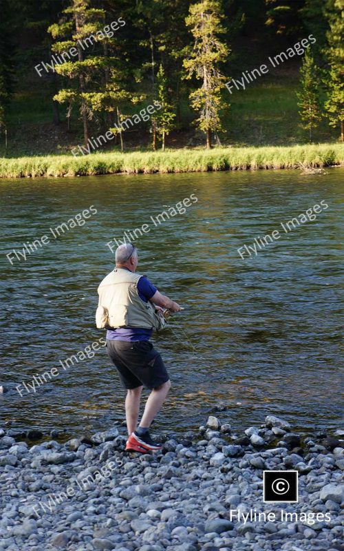 Yellowstone River, Fly Fishing