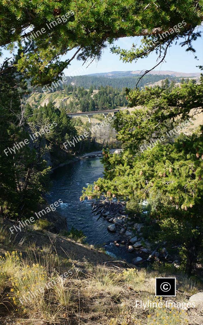 Yellowstone River, Near Rosevelt Area, Yellowstone National Park