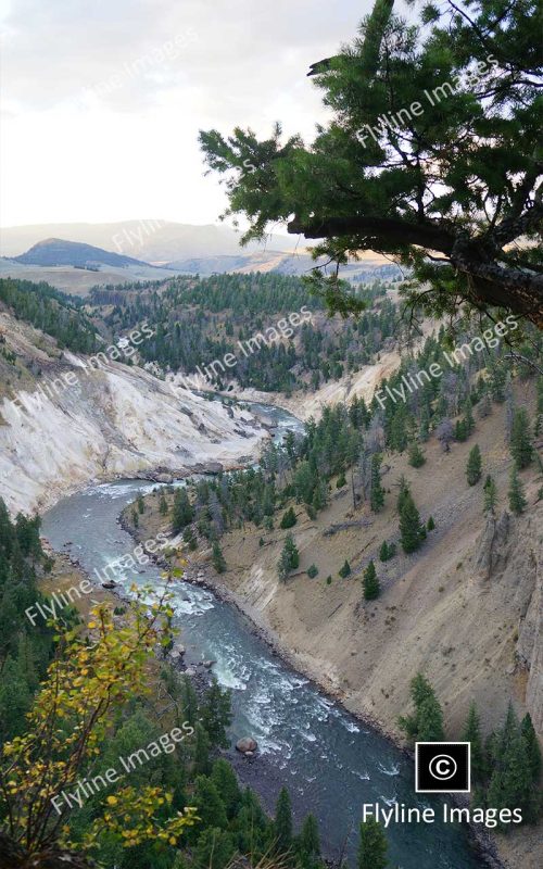 Yellowstone River