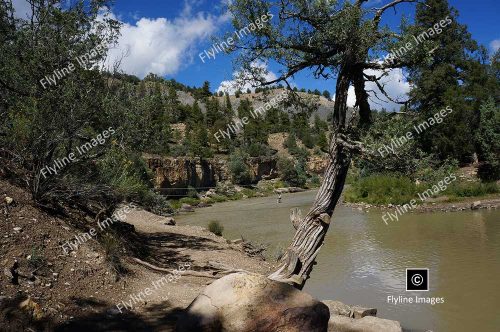 Chama River, El Vado Ranch, Fly Fishing, New Mexico