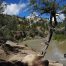 Chama River, El Vado Ranch, Fly Fishing, New Mexico