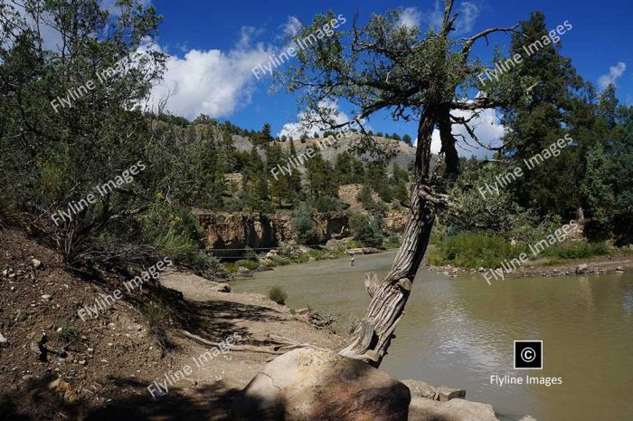 Chama River, El Vado Ranch, Tierra Amarilla New Mexico