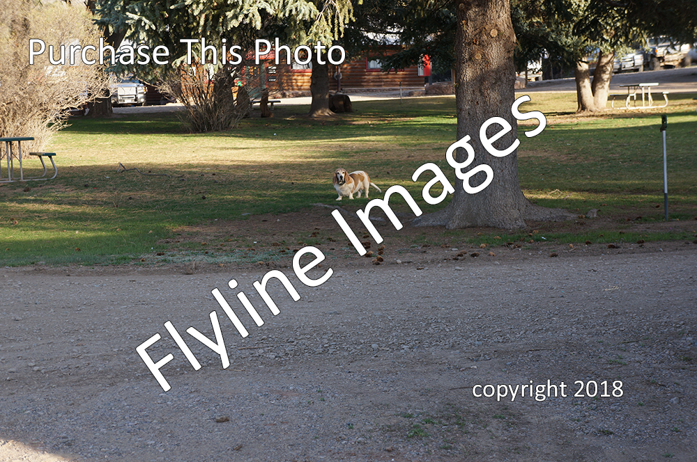 El Vado Ranch 35 Flyline Images