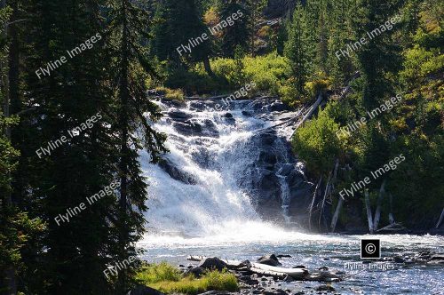 Lewis Falls, Snake River