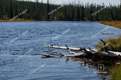 Snake River