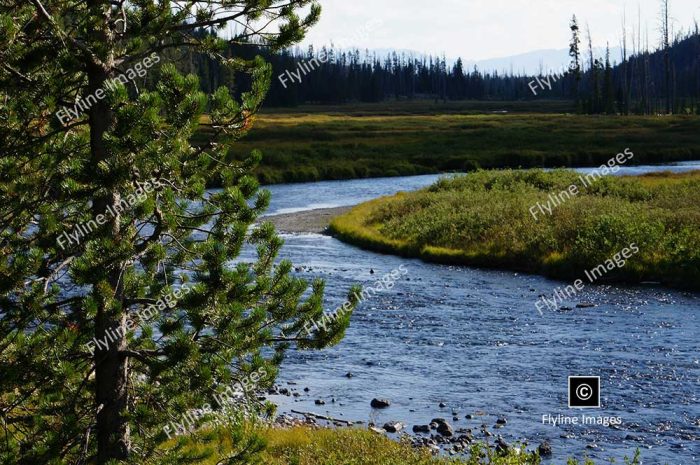 Snake River, Yellowstone National Park