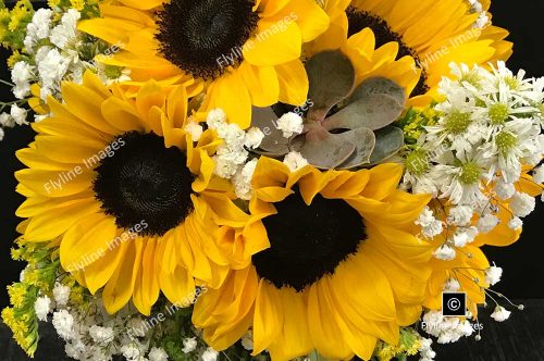 Sunflower Bouquet