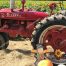 Sunflowers, Tractor, North Georgia