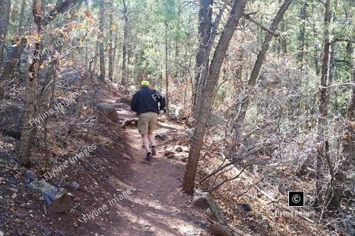Jemez Mountain Trail, New Mexico Trail Running